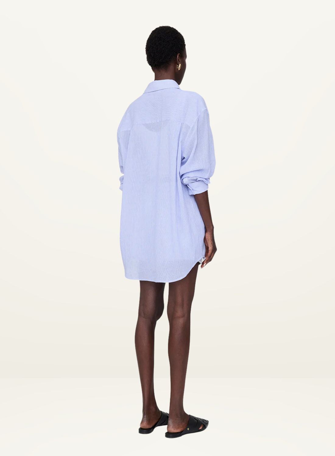 Anine Bing Plaza Shirt in Blue and White Mini Stripe