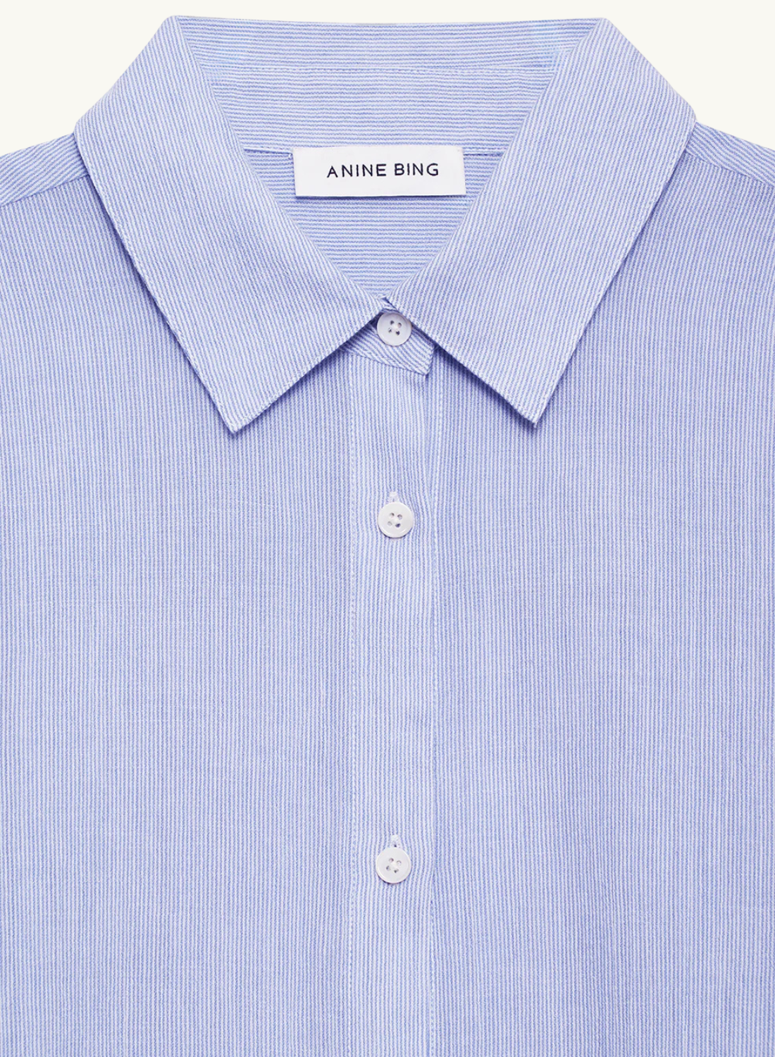 Anine Bing Plaza Shirt in Blue and White Mini Stripe