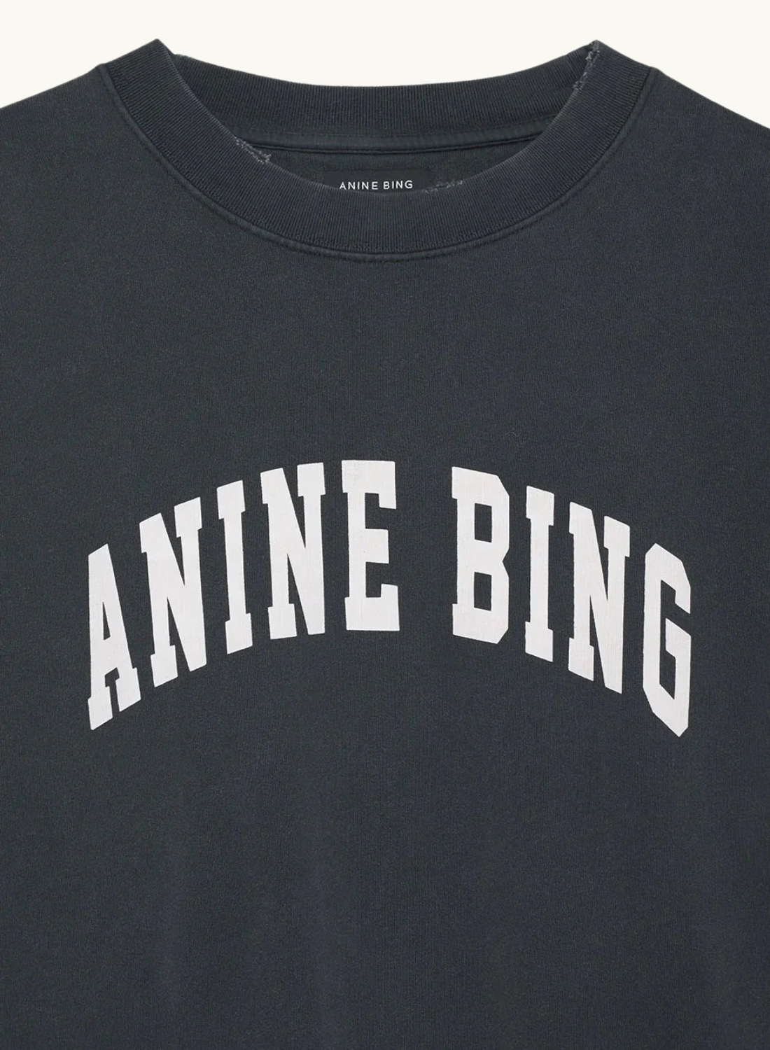 Anine Bing Tyler Sweatshirt WASHED BLACK
