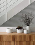 Mona Pot Trio CHALK-LM Home-Frolic Girls