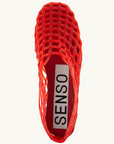 Senso Jellie in CHILLI