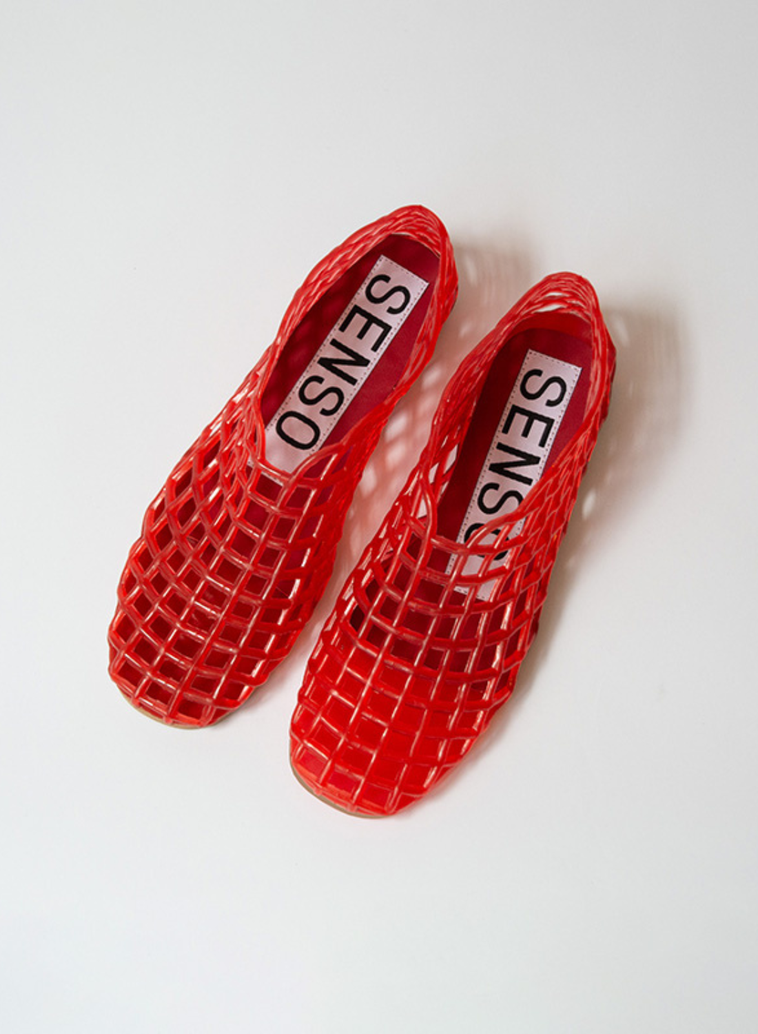 Senso Jellie in CHILLI