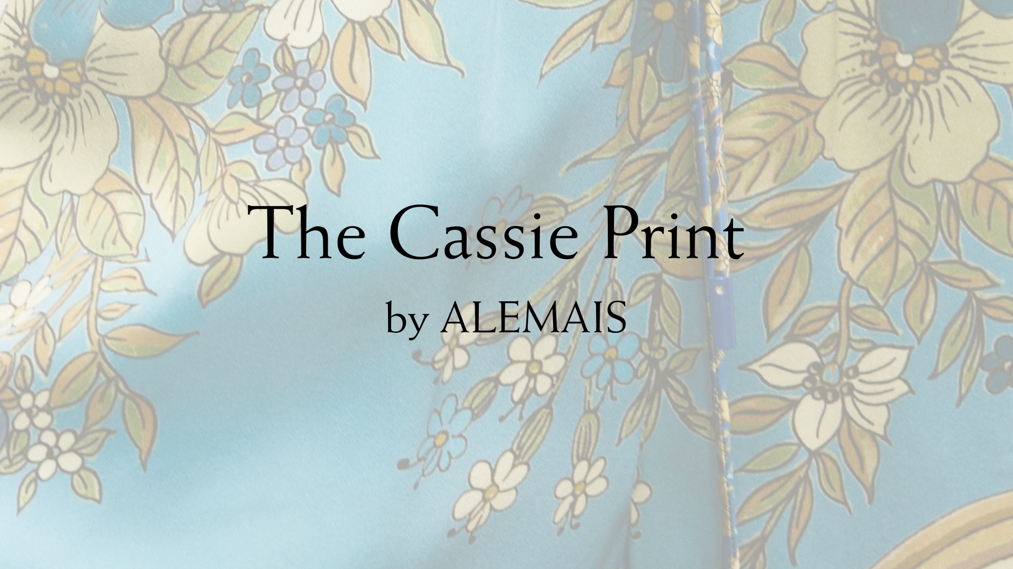 The Cassie Story by Alemais