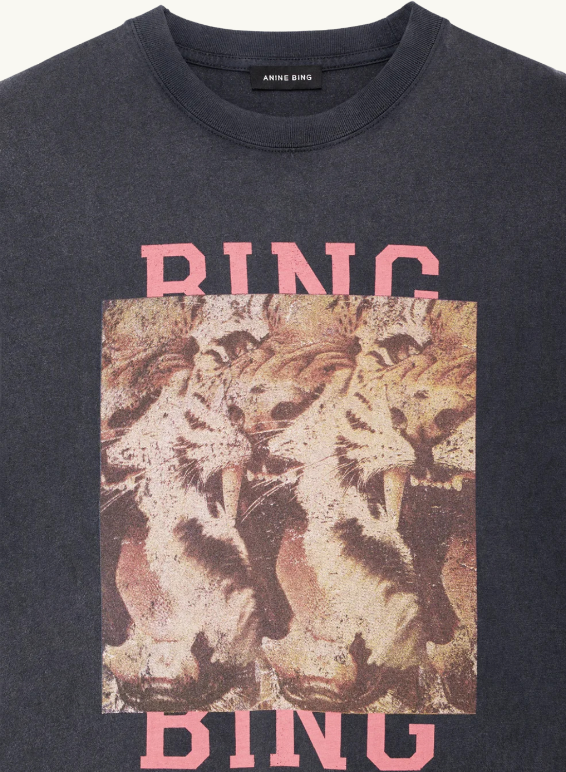 Anine Bing Cade Tee in Tiger Bing Washed Black