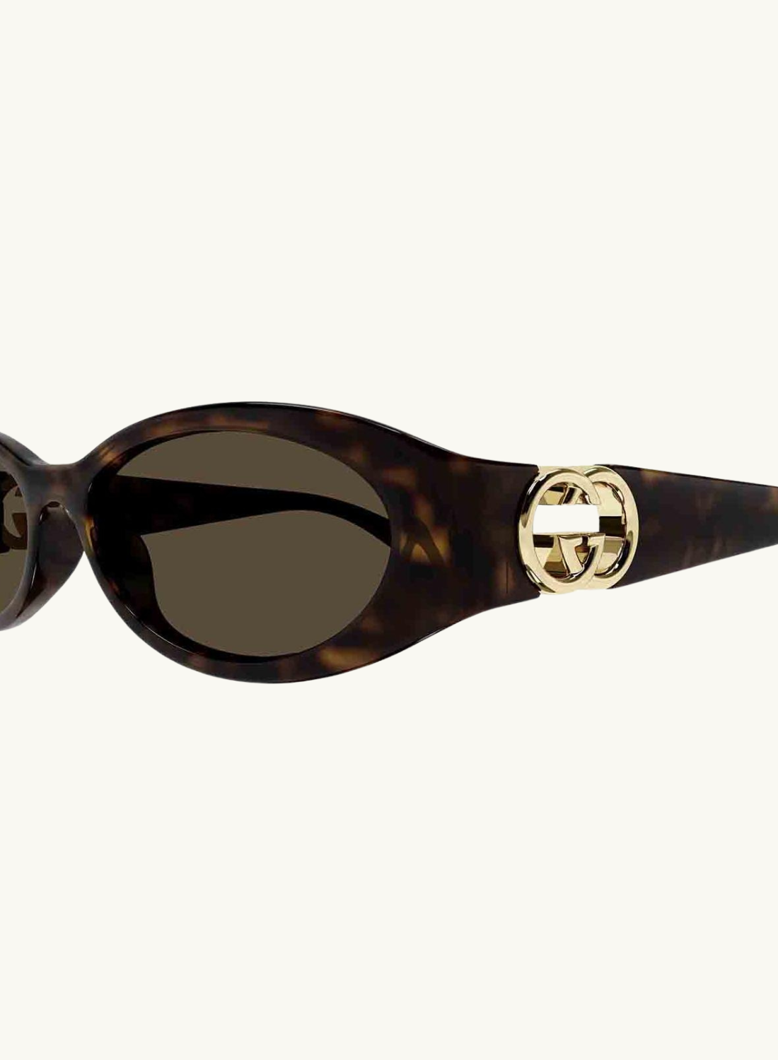 GG1660S Sunglasses HAVANA Gucci-Gucci-Frolic Girls