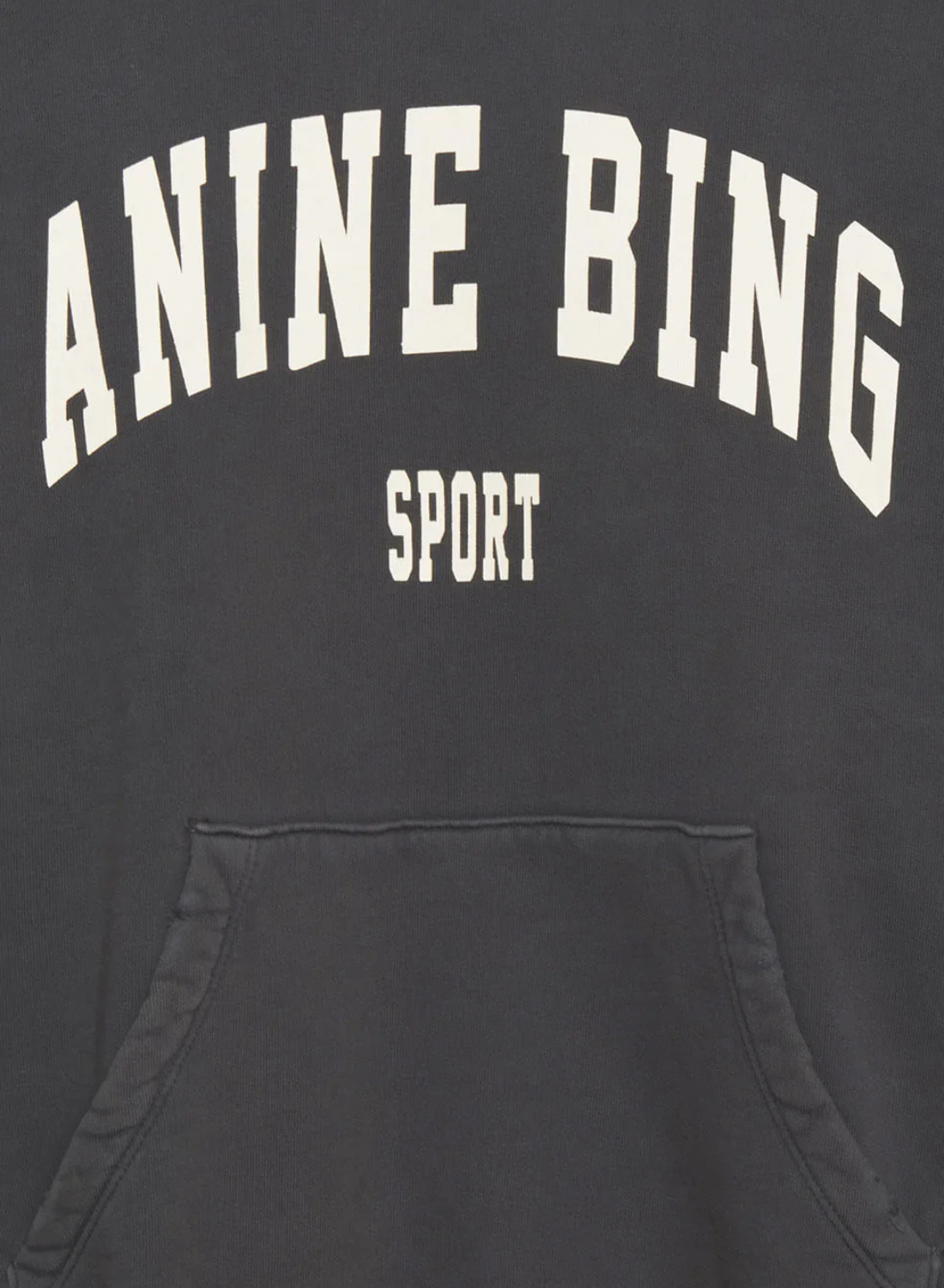 Anine Bing Harvey Sweatshirt in WASHED BLACK