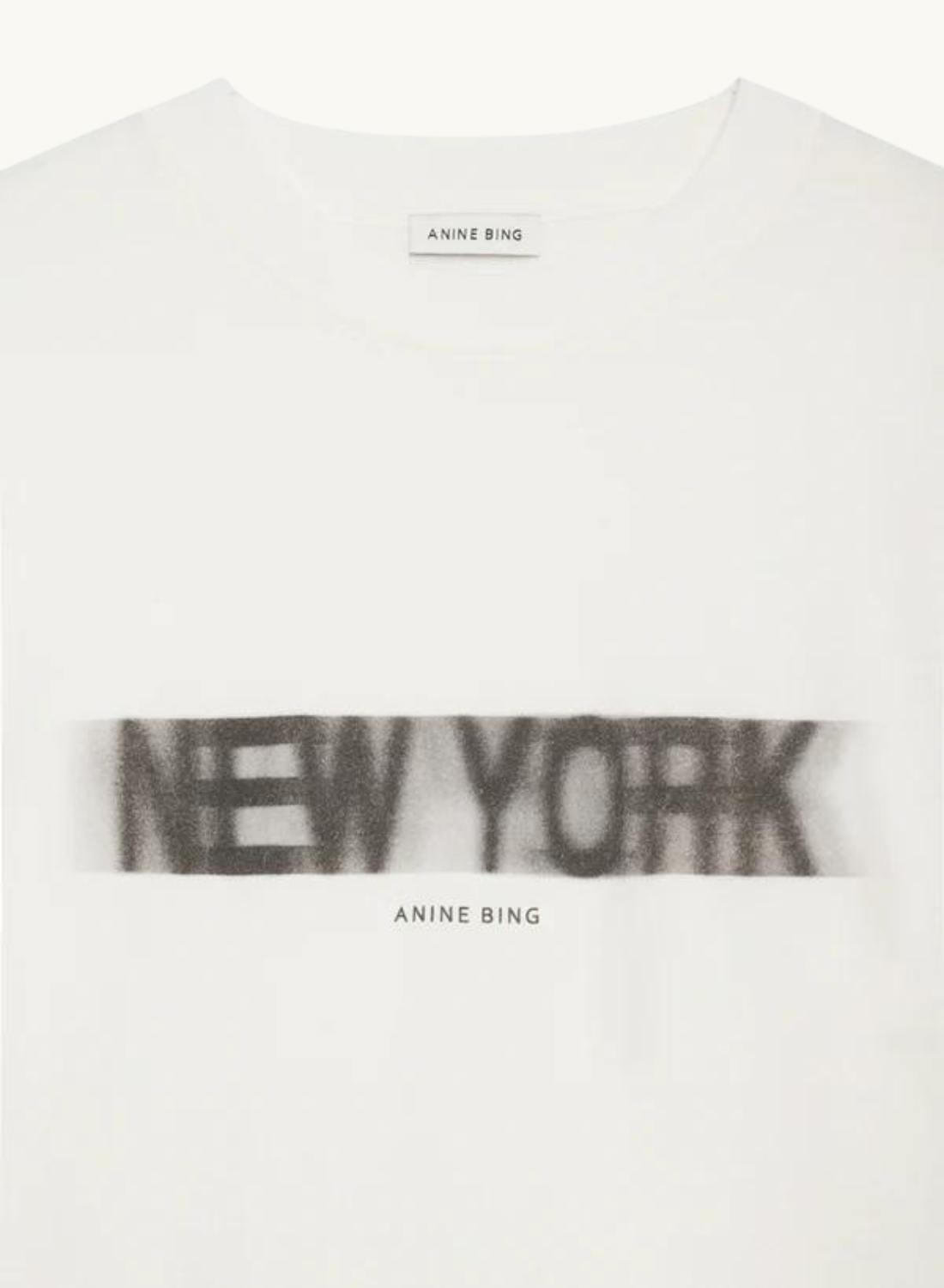 Anine Bing Cason Tee in BLUR-Anine Bing-Frolic Girls