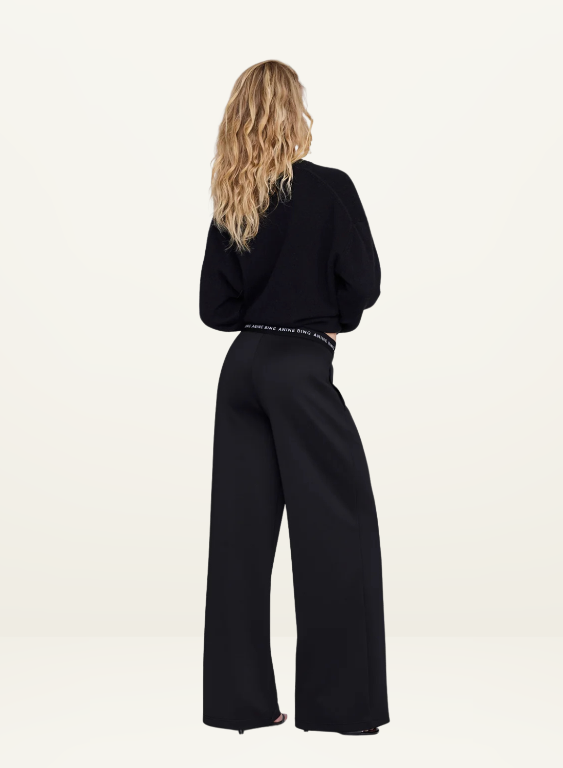 Anine Bing Sari Jogger Pant in Black