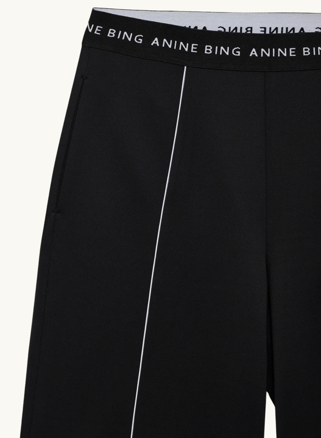 Anine Bing Sari Jogger Pant in Black